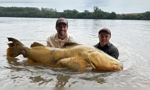 Pescador captura jaú de quase 100 kg no Rio Ivaí