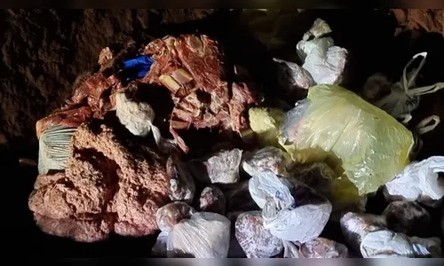 500 kg de carne sem procedência são apreendidos em Marilândia do Sul