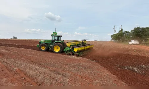 Agricultores aceleram plantio da soja após registros de chuva