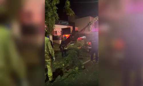 Caminhão preso em árvore exige operação de 2 horas em Apucarana