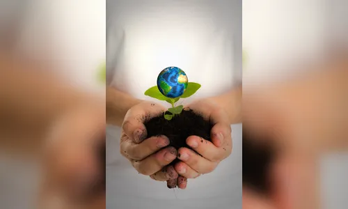 Ecossistemas ou Egossistemas? O que estamos realmente construindo