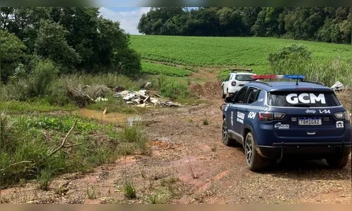 Mulher é sequestrada, baleada e deixada para morrer no PR