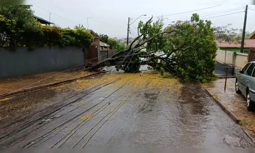 Inmet emite alerta severo de tempestade para Apucarana e Arapongas