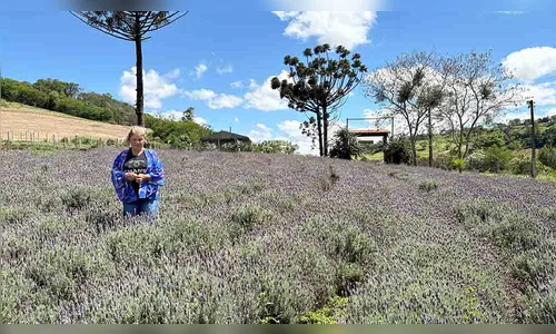 Lavanda, rosas e mel são atração de turismo rural em Ivaiporã