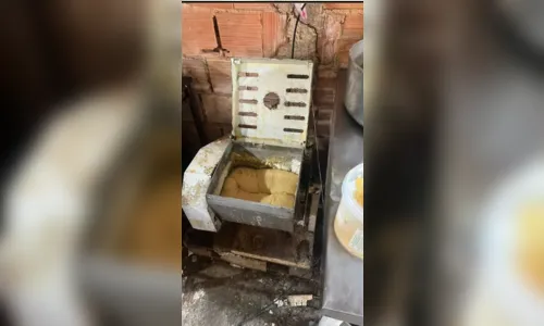 Fábrica de salgados com infestação de baratas é fechada em Goiânia