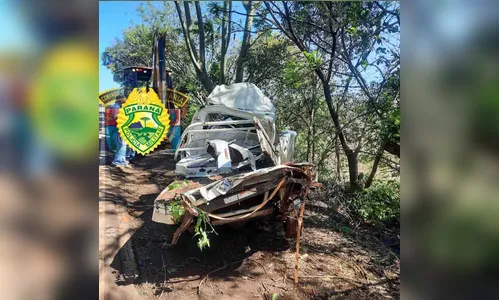 Motorista morre após veículo sair da pista e bater em árvore na PR-436