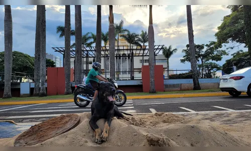 Veja como fica o tempo em Apucarana nesta segunda-feira (20)