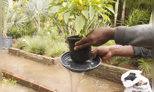 Municípios da 16ª regional aderem ao Dia D de Combate à Dengue