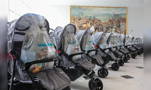 Programa do PR distribuirá 10 mil kits com carrinhos para mães e bebês