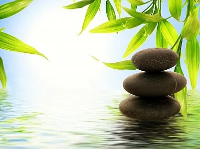 O termo Feng Shui significa, literalmente, feng (vento) e shui (água)