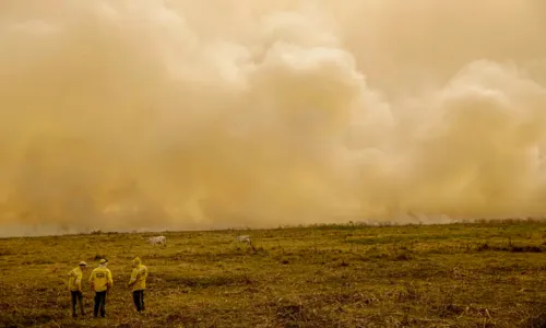 Calor já mata meio milhão de pessoas por ano, alertam cientistas