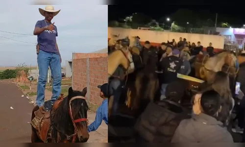 Família de apucaranense morto em acidente leva cavalos para despedida