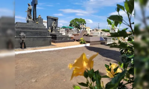 Confira os falecimentos deste sábado (18) em Apucarana