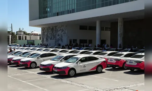 Cidades da região recebem veículos para rede de proteção à mulher