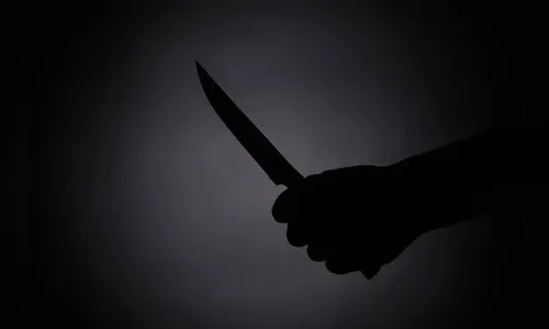 Vizinho com faca e cão ameaça novos moradores em Apucarana