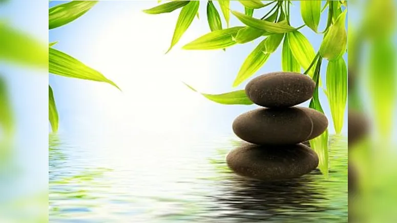 O termo Feng Shui significa, literalmente, feng (vento) e shui (água)