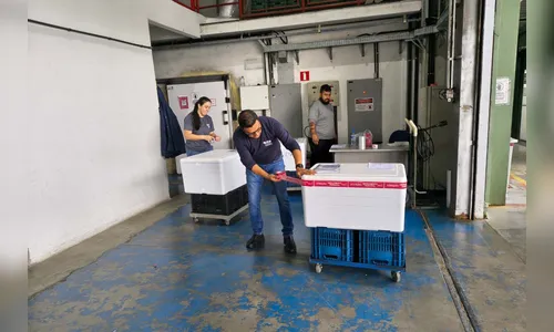 Paraná inicia a distribuição da vacina contra o VSR para o interior