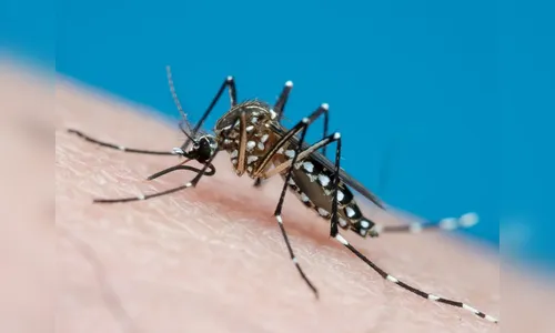 16ª RS promove Oficina “Previne Dengue” nesta quarta em Apucarana