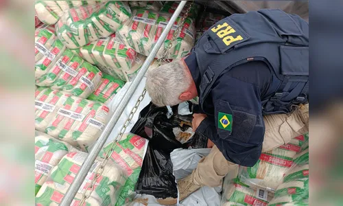 PRF apreende mais de três toneladas de maconha em rodovia de Maringá
