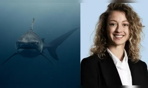 Turista é morta e companheiro fica grave em ataque de tubarão-touro