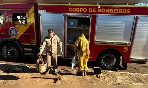 Mau tempo adia buscas pelo corpo da costureira Cíntia em Apucarana