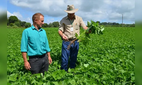 IDR-Paraná divulga resultado final do PSS com 173 novos profissionais