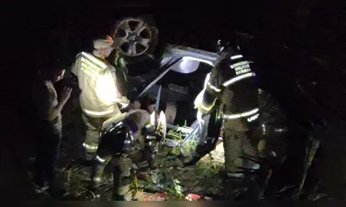 Quatro ficam feridos após atropelamento de capivara na PR-986