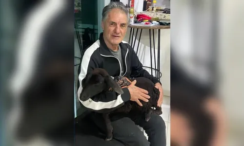 Vítima de acidente em Apucarana, idoso de 71 anos morre no hospital