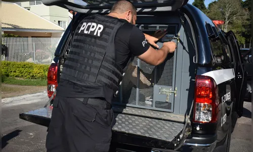 Veterinário que prescreveu 112 mil frascos de cetamina em 4 anos é preso no PR