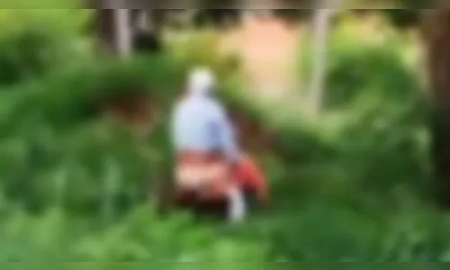 Casal de idosos é flagrado fazendo sexo ao ar livre à luz do dia; veja