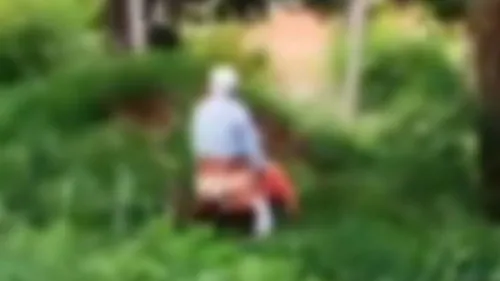 As imagens do flagrante, que ocorreu em uma área que seria do Departamento de Água e Esgoto (DAE), no Parque do Lago, viralizaram nas redes sociais nesta quarta-feira (10)