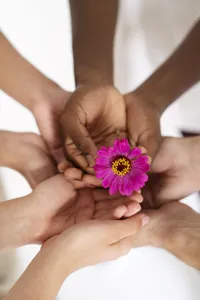 Auxílio Social Mulher Paranaense, voltado a mulheres em situação de violência doméstica e familiar