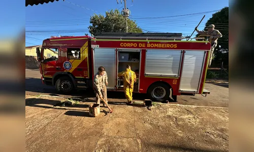 Caso Cíntia: Polícia Civil vai retomar buscas nesta sexta-feira