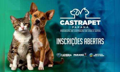 Cambira abre inscrições para castração gratuita de cães e gatos