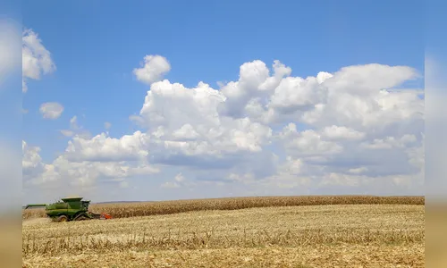 PIB Paraná 2023: 4º do país com alta acima da média nacional
