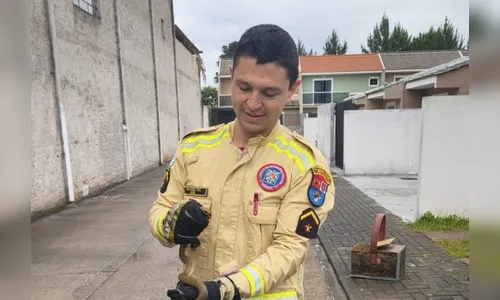 Cobra é encontrada em cama de criança no PR