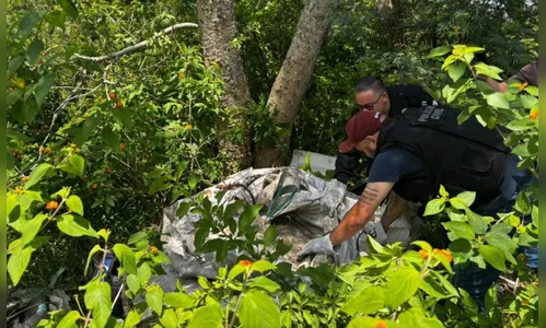 Corpo de comerciante desaparecido é encontrado em mata no PR; colega é suspeito