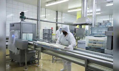 Desemprego no Paraná atinge 3,5% no terceiro trimestre de 2025