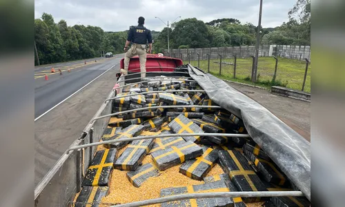 PRF apreende quase 2,5 toneladas de maconha em rodovia no Paraná