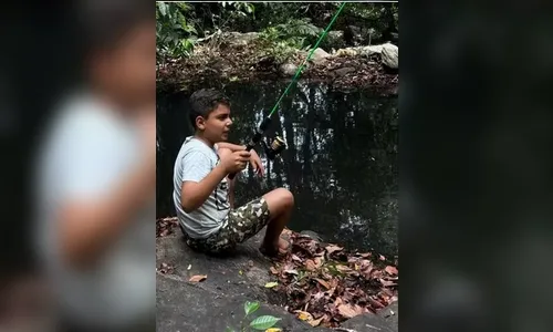 Menino morre após levar mais de mil picadas de abelhas em Goiás