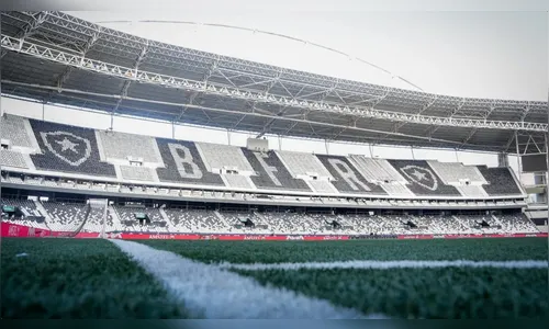 Botafogo x Grêmio: onde assistir ao vivo neste sábado (22)