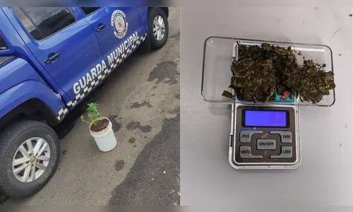 Criança é estrangulada ao defender a mãe de companheiro em Arapongas