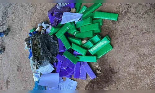 Delegacia de Ivaiporã incinera 60 kg de drogas apreendidas