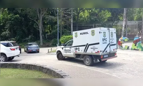 Homem é morto por leoa após entrar em jaula em zoológico
