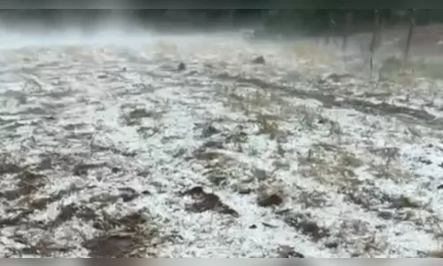Forte temporal com granizo causa estragos em Mato Rico (PR); veja