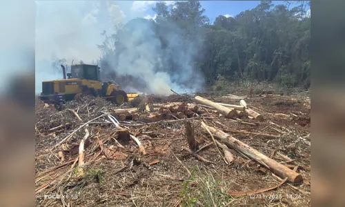 Arapongas multa em R$ 85 mil responsáveis por incêndio em área rural