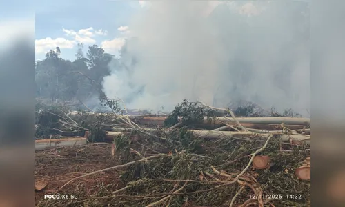 Arapongas vai notificar responsáveis por incêndio em área rural