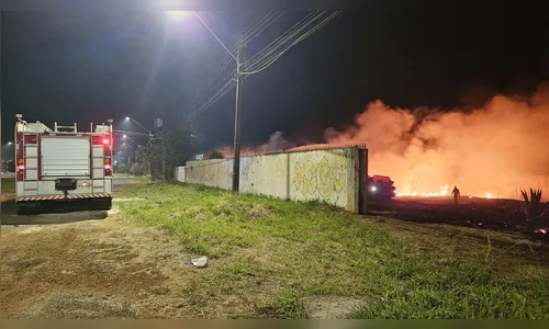 Número de incêndios ambientais cai 57% em Apucarana