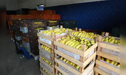 Preços de alimentos e bebidas caem em todas as regiões do Paraná