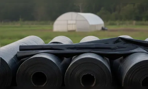 Bobinas furtadas em sítio de Faxinal causam prejuízo de R$ 12 mil